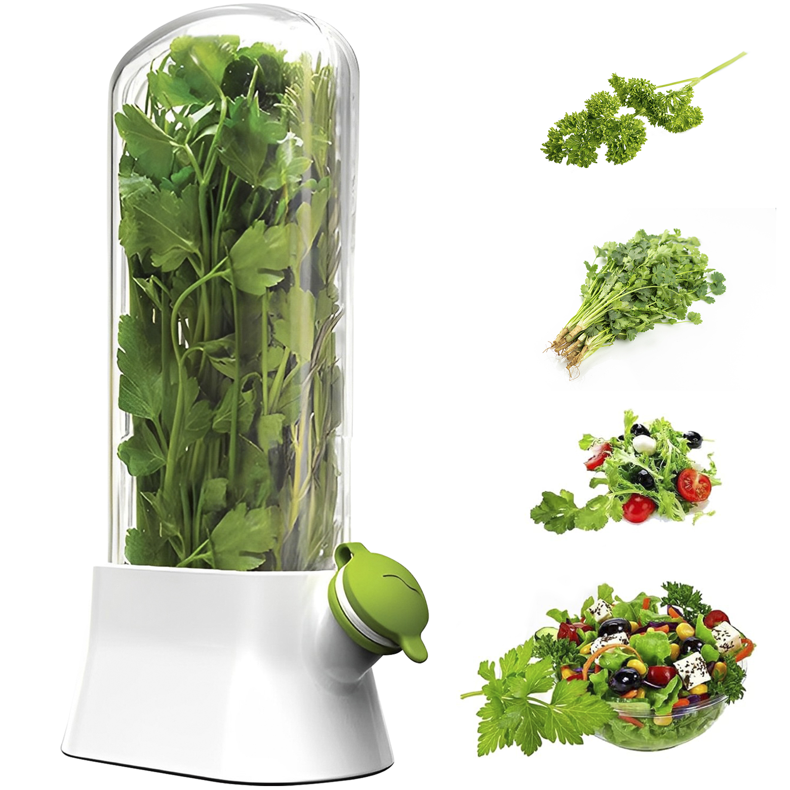 Herb Keeper Container - 4/1PC Herb Freshkeeping Box Fresh Vegetable