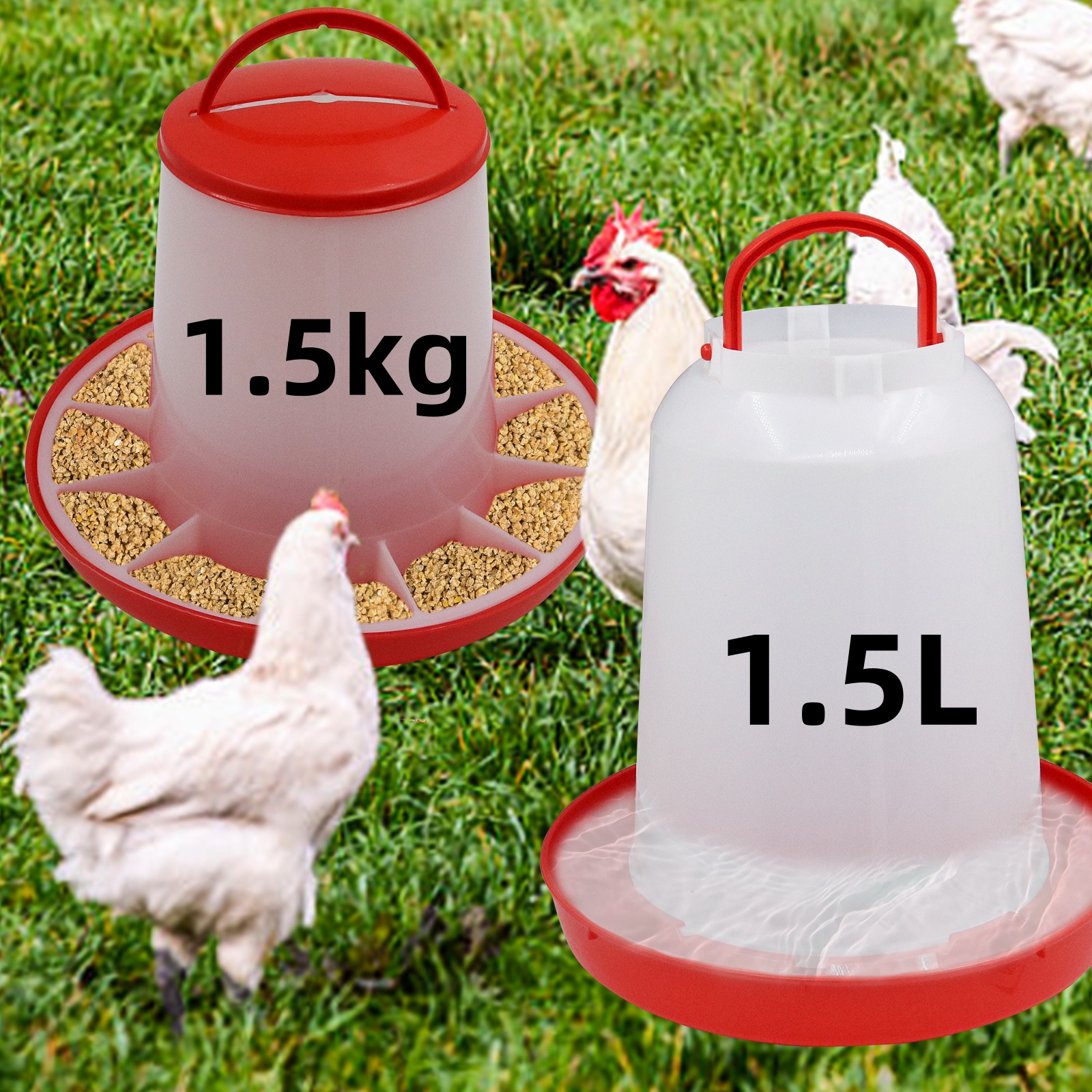 Portion Control Container - 1.5kg 1.5L Poultry Feeder And Waterer