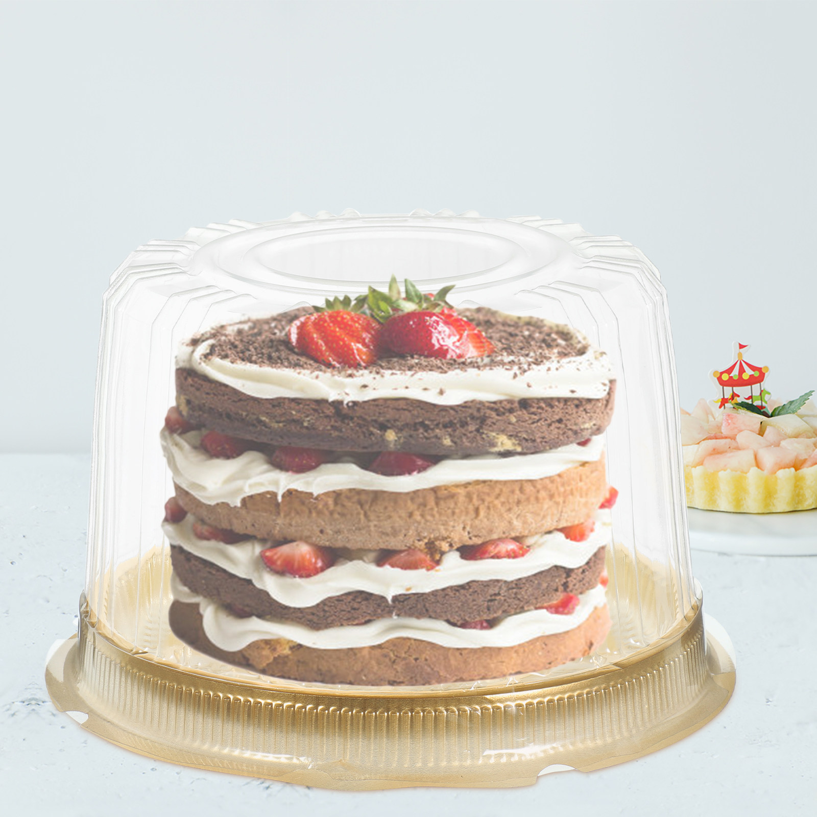 Portion Control Container - 10Pcs Assemble Easy Clear Plastic Cake