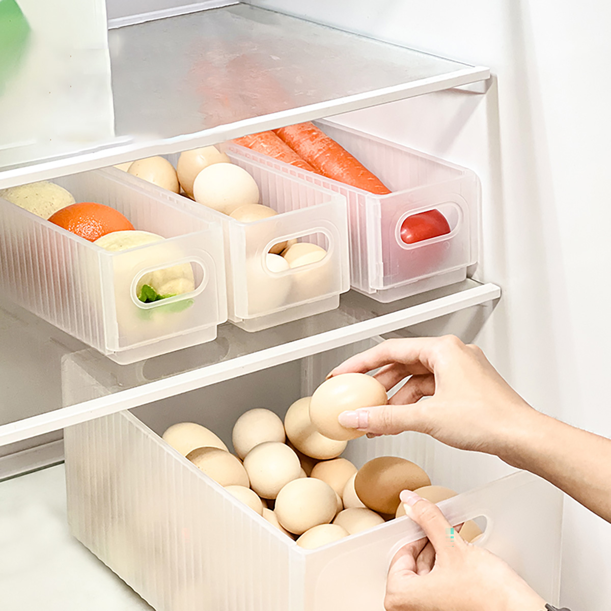 WORTHBUY Plastic Folding Fridg - Food Storage Without Plastic recensione e prezzo