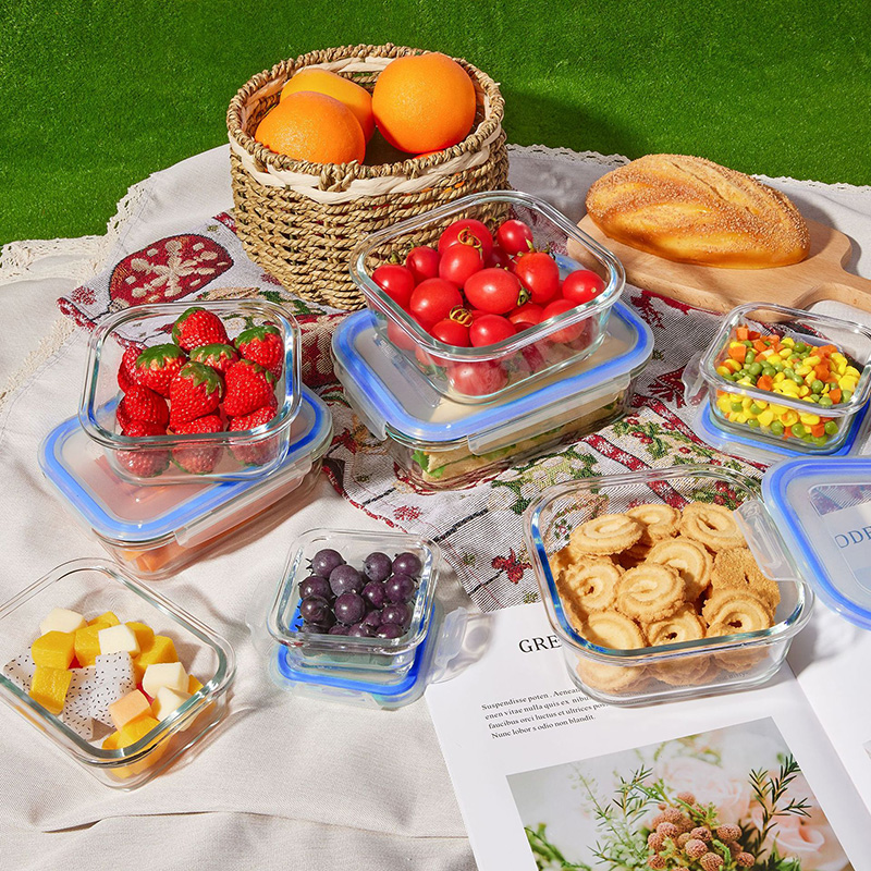 Glass Meal Prep Containers Lun - Food Storage Glass Box recensione e prezzo