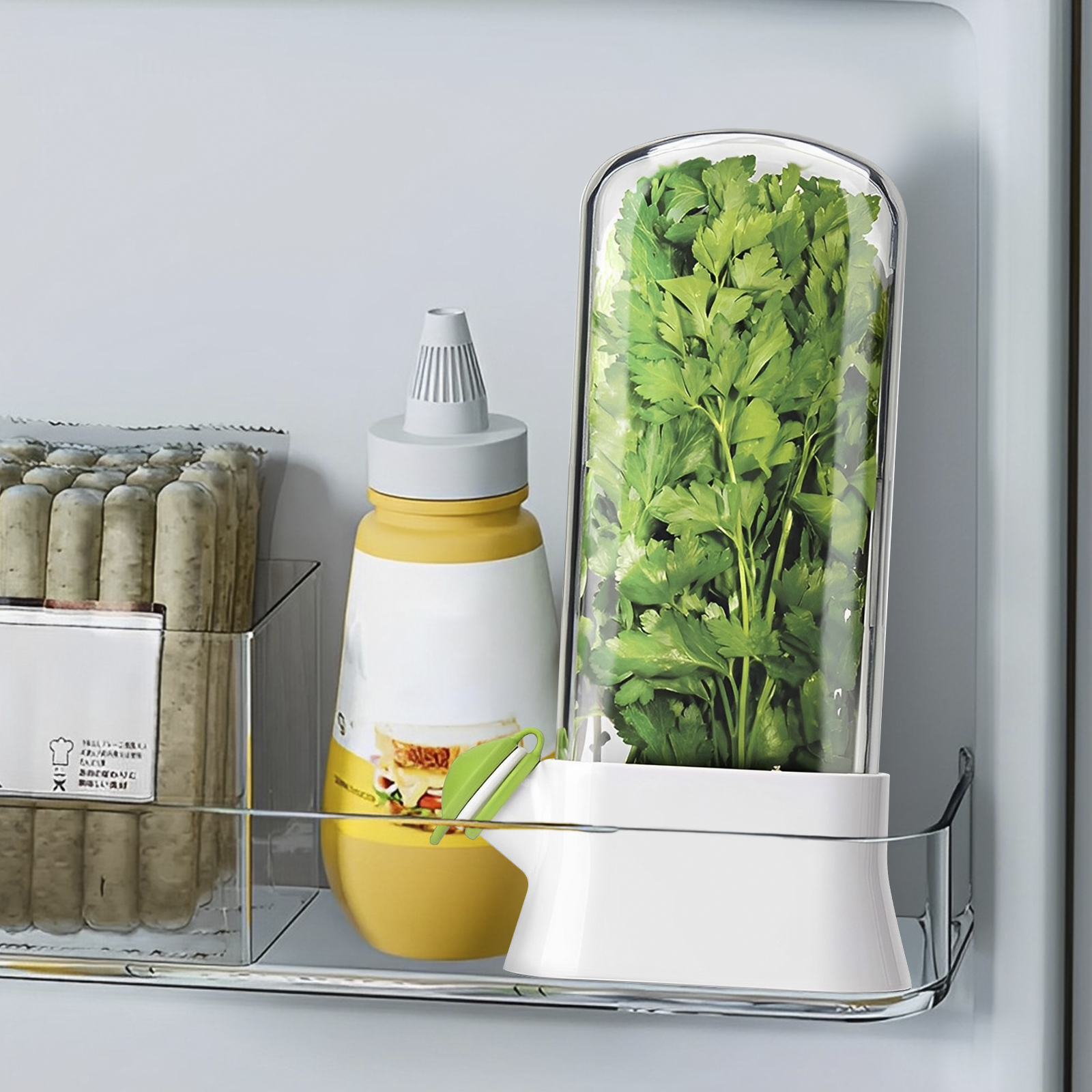 4/1PC Herb Freshkeeping Box Fr - Herb Keeper Container recensione e prezzo