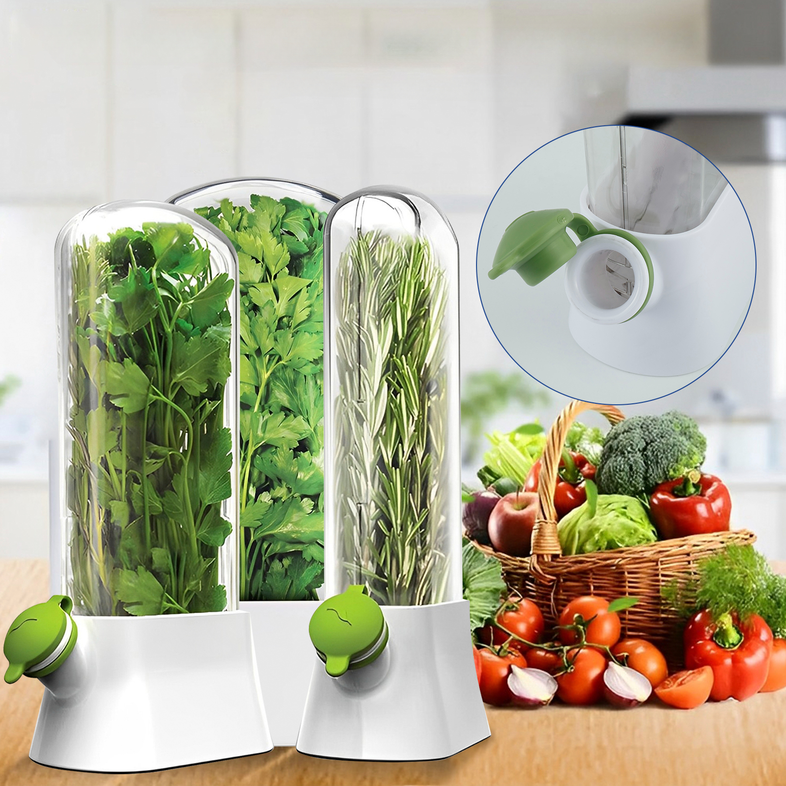 4/1PC Herb Freshkeeping Box Fr - Herb Keeper Container recensione e prezzo