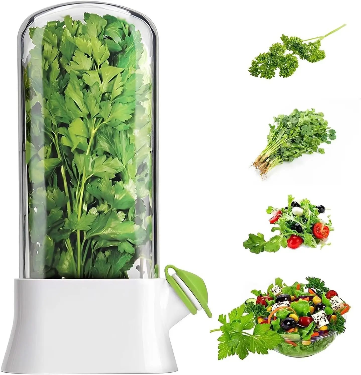 Herb Keeper for Refrigerator K - Herb Keeper Container recensione e prezzo
