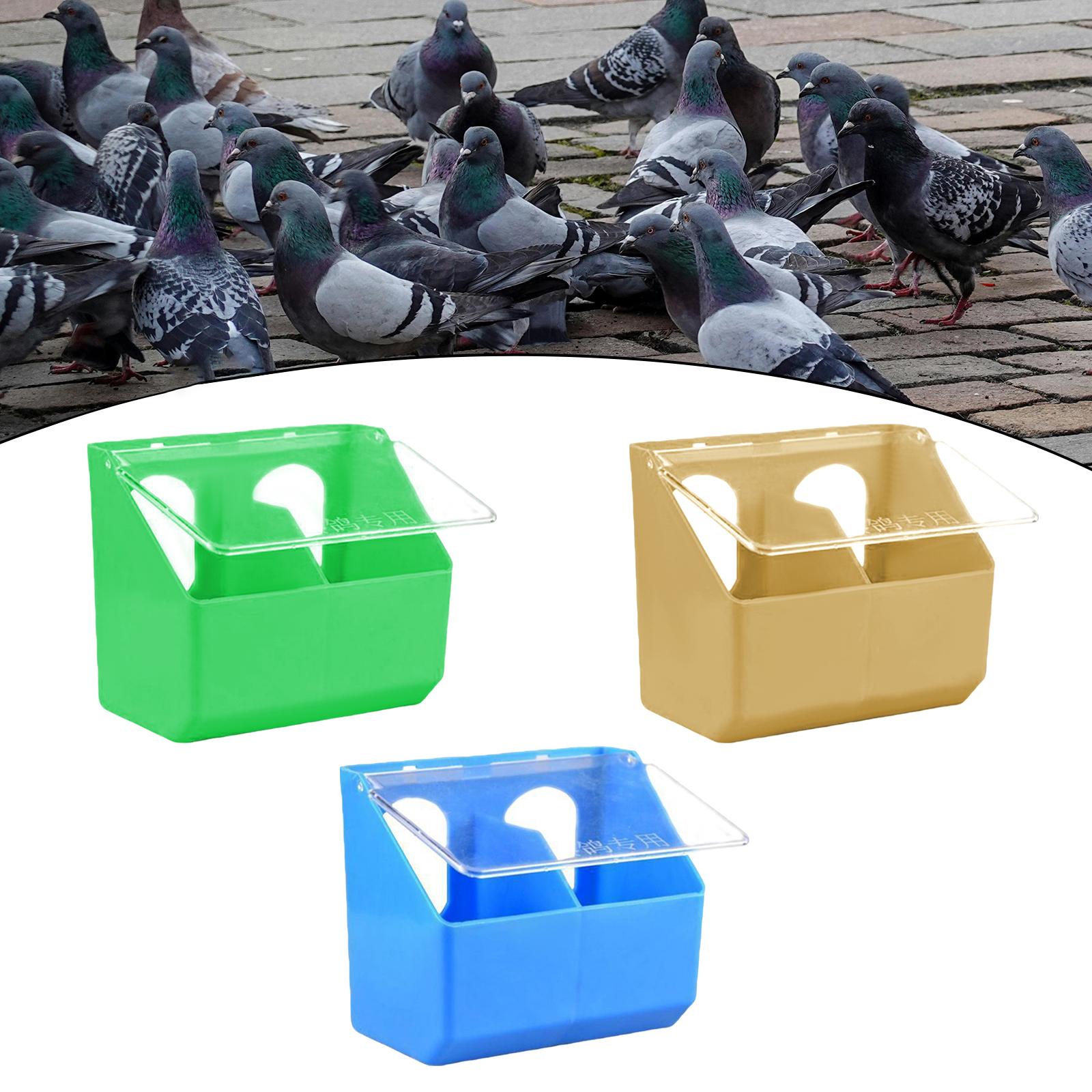 Hanging Box Pigeon Feeder Wate - Portion Control Container recensione e prezzo