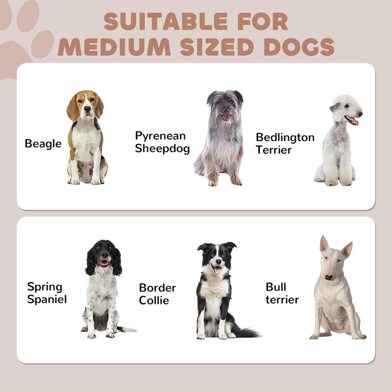 PawHut Pet Feeding Station, Do - Food Storage Cabinet recensione e prezzo