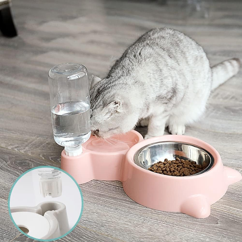 Pet Water Dispenser for Cats a - Portion Control Container recensione e prezzo