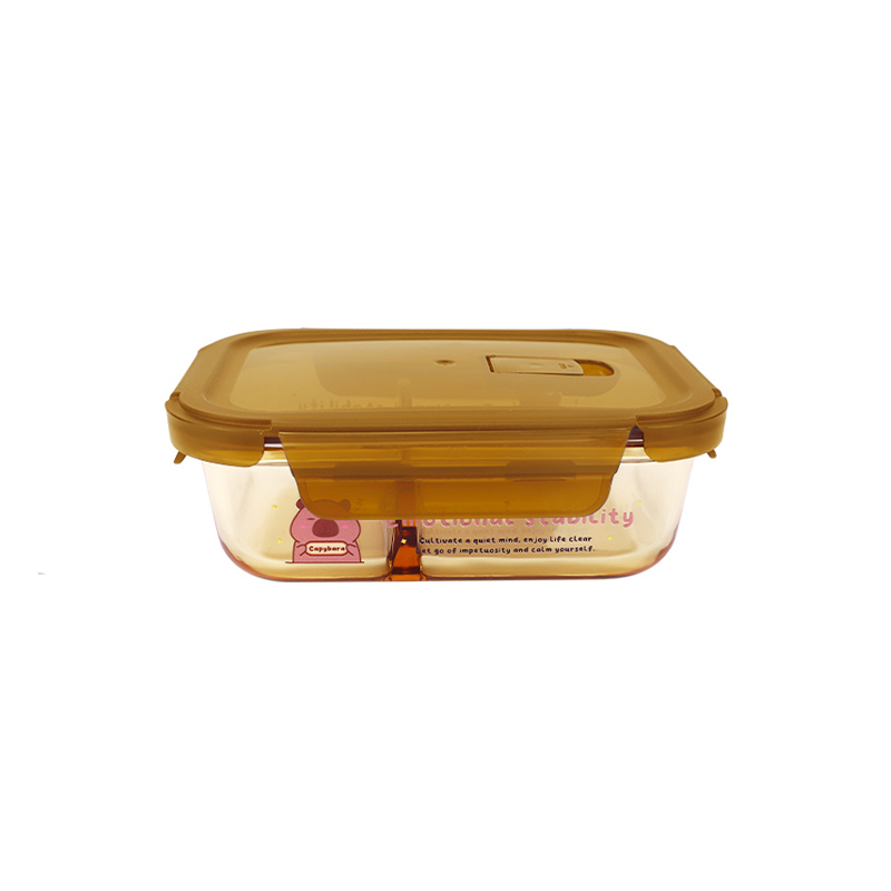 HeY LiLac 625ml Capybara Amber - Food Storage Glass Box recensione e prezzo