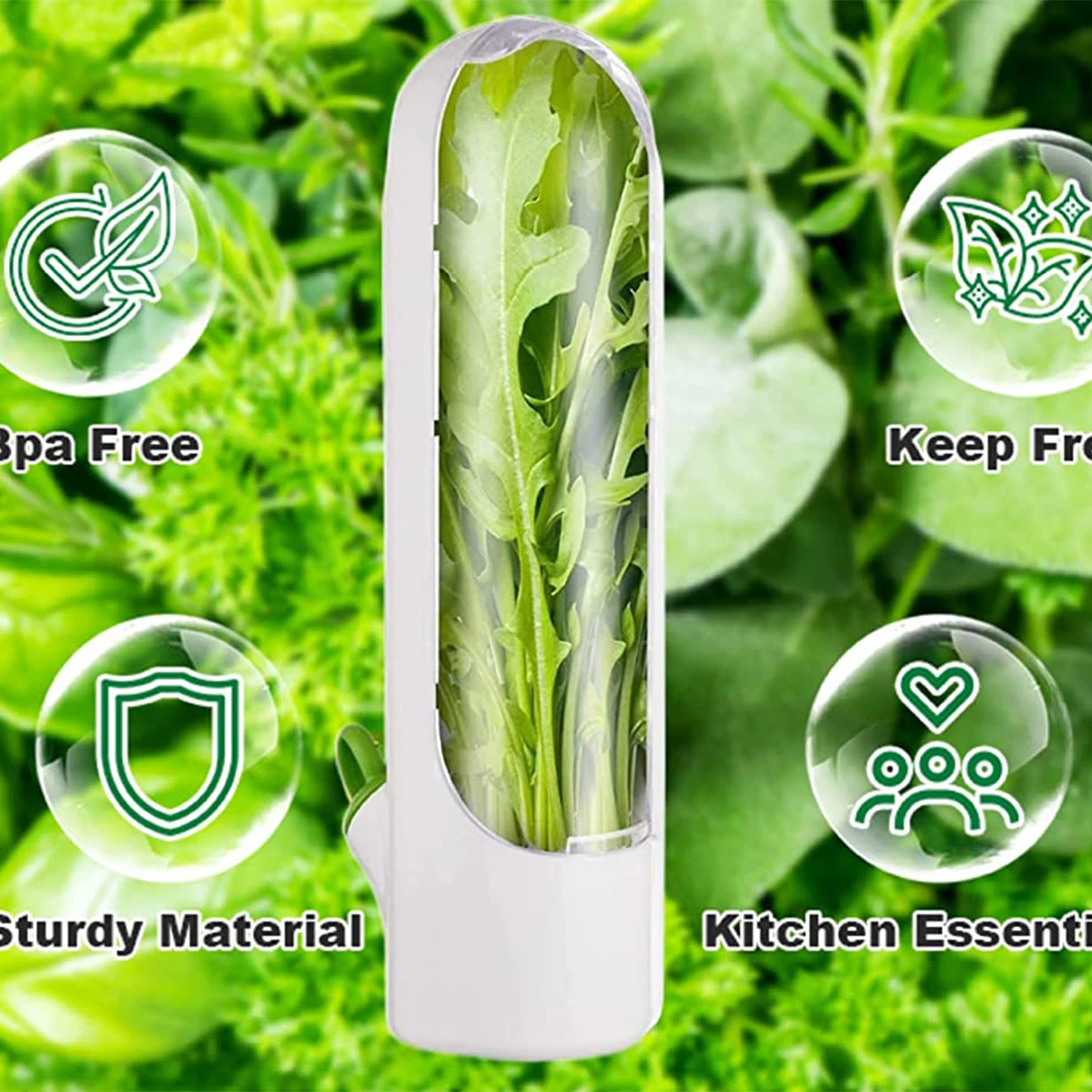 1/2/3PCS Herb Saver Storage Co - Herb Keeper Container recensione e prezzo