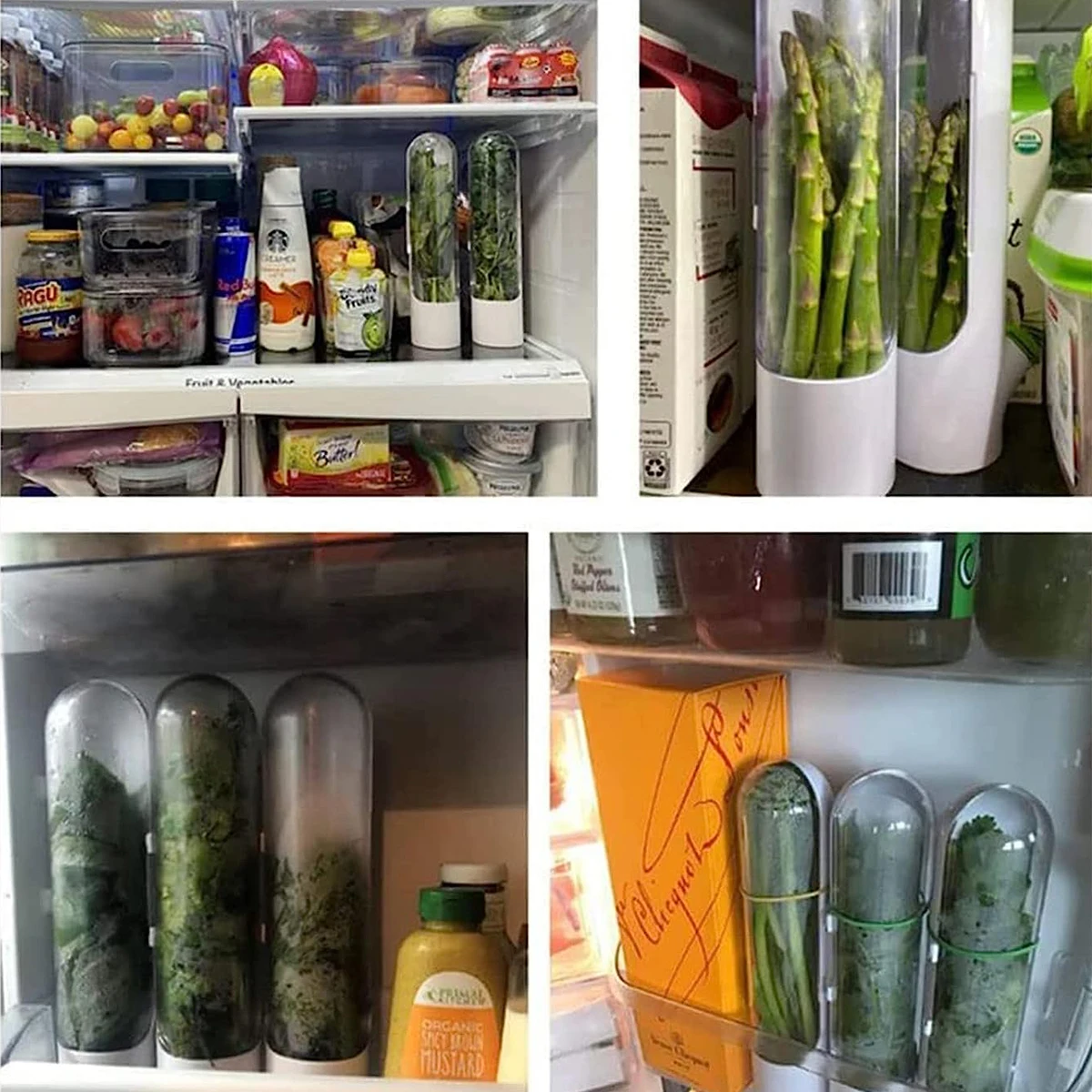 1/2/3PCS Herb Saver Storage Co - Herb Keeper Container recensione e prezzo