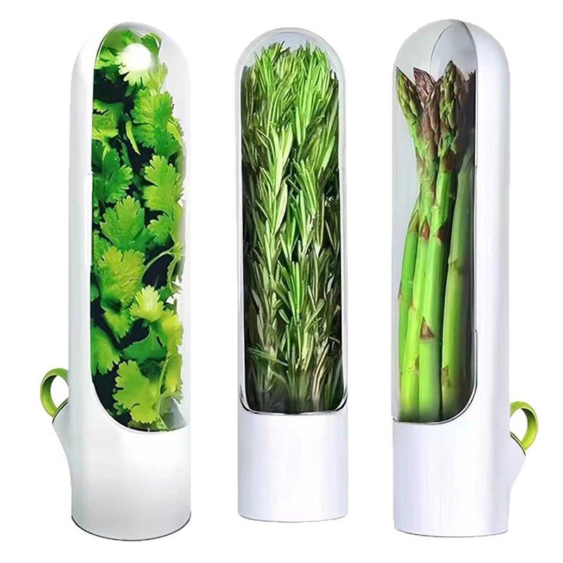 1/2/3PCS Herb Saver Storage Co - Herb Keeper Container recensione e prezzo