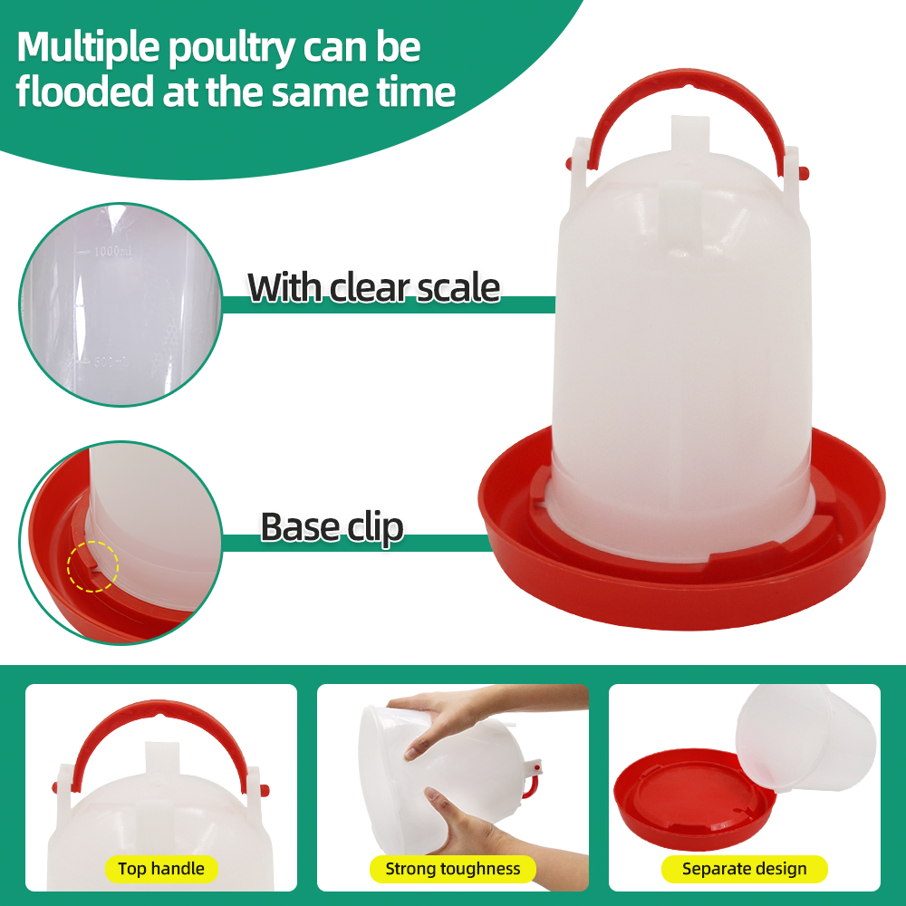 1.5kg 1.5L Poultry Feeder And  - Portion Control Container recensione e prezzo
