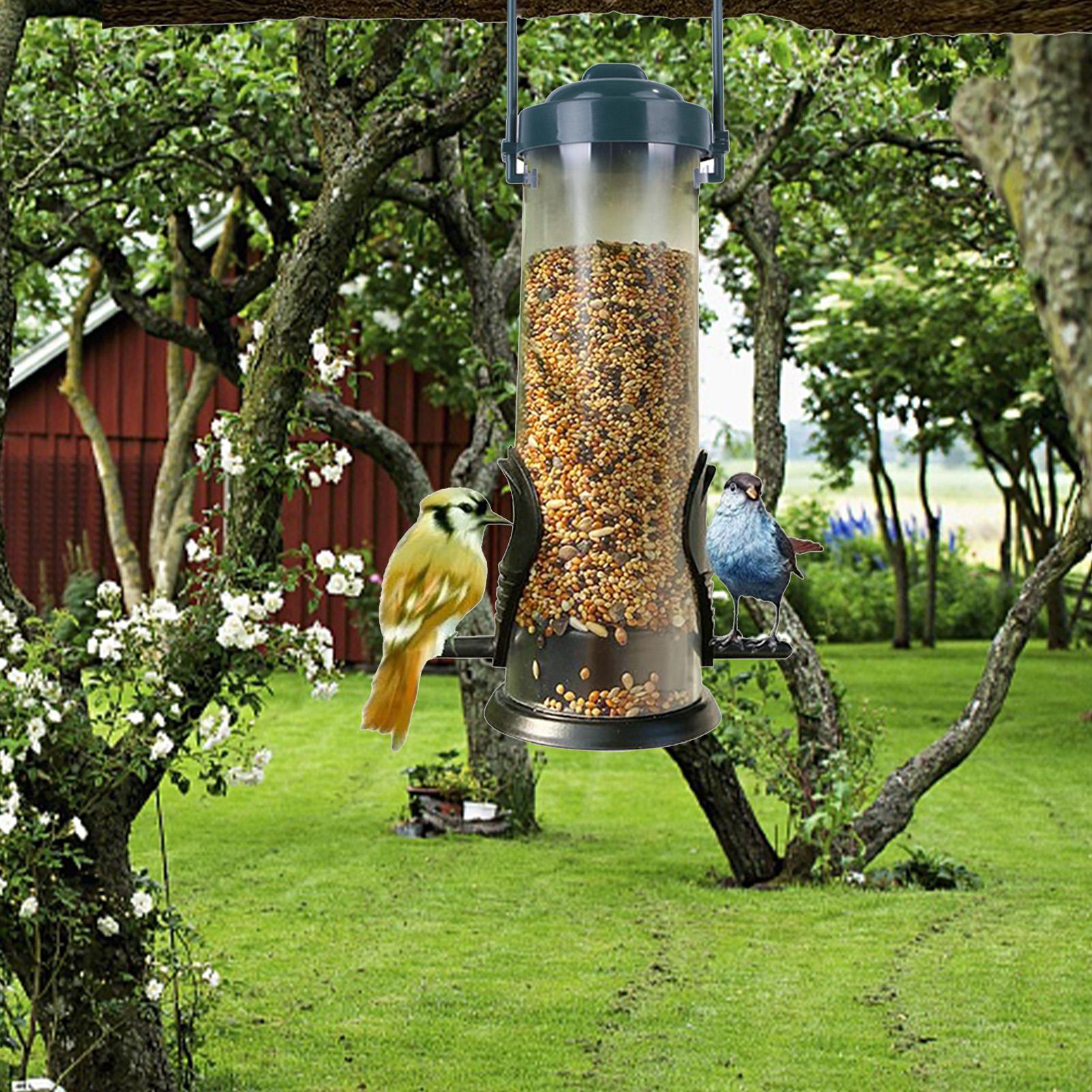 Dangling Bird Feeder Bird Food - Portion Control Container recensione e prezzo