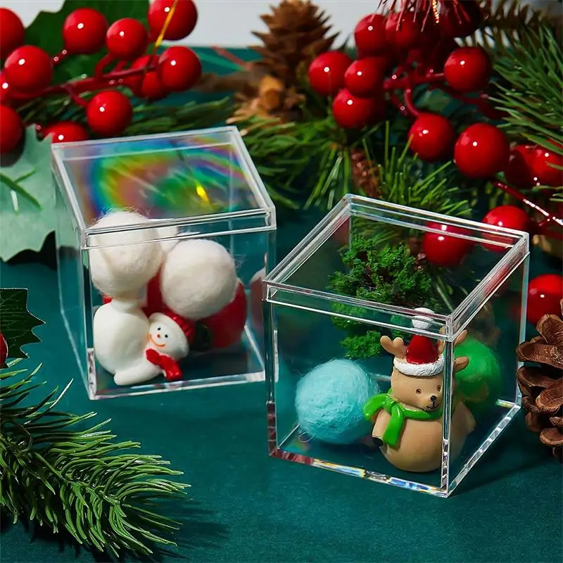 12 PCS Transparent Acrylic Box - Food Storage With Dividers recensione e prezzo
