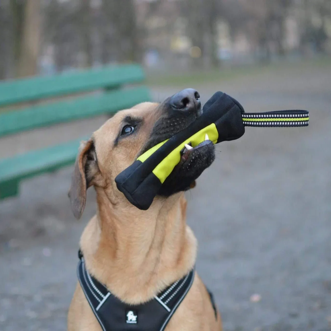 Truelove Dog Training Retrieve - Food Storage Zipper recensione e prezzo