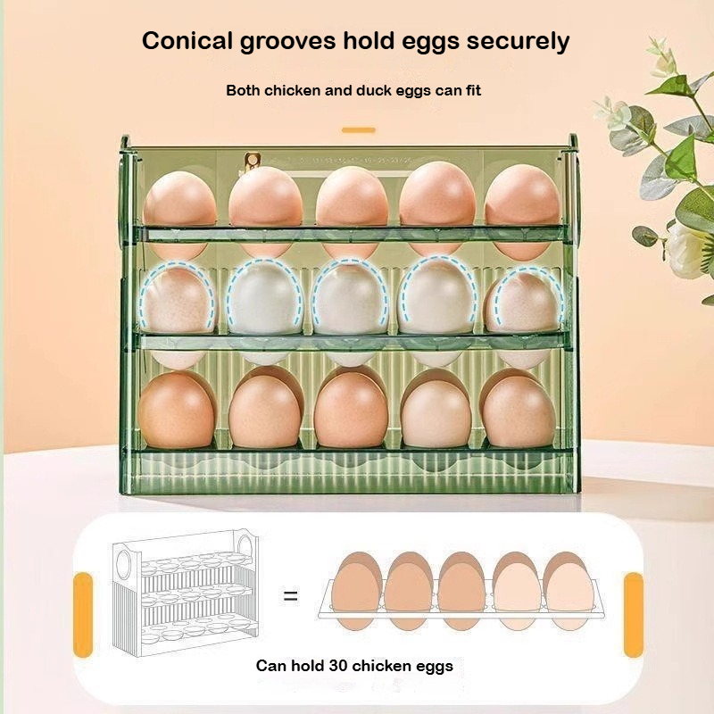 Automatic Rebound Egg Storage  - Food Storage With Dividers recensione e prezzo