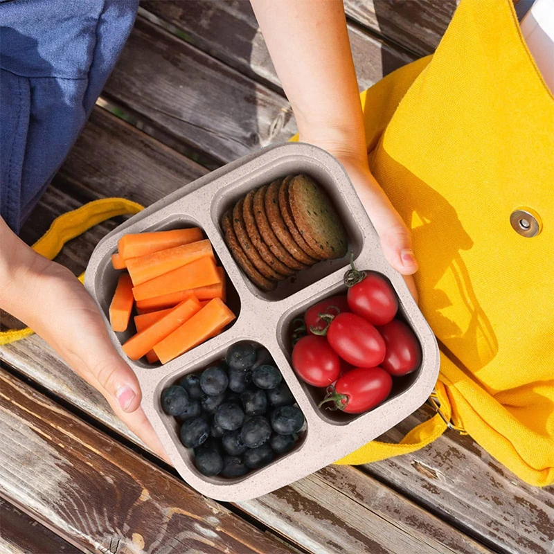 4 Grids Food Storage Box Porta - Food Storage Cabinet recensione e prezzo