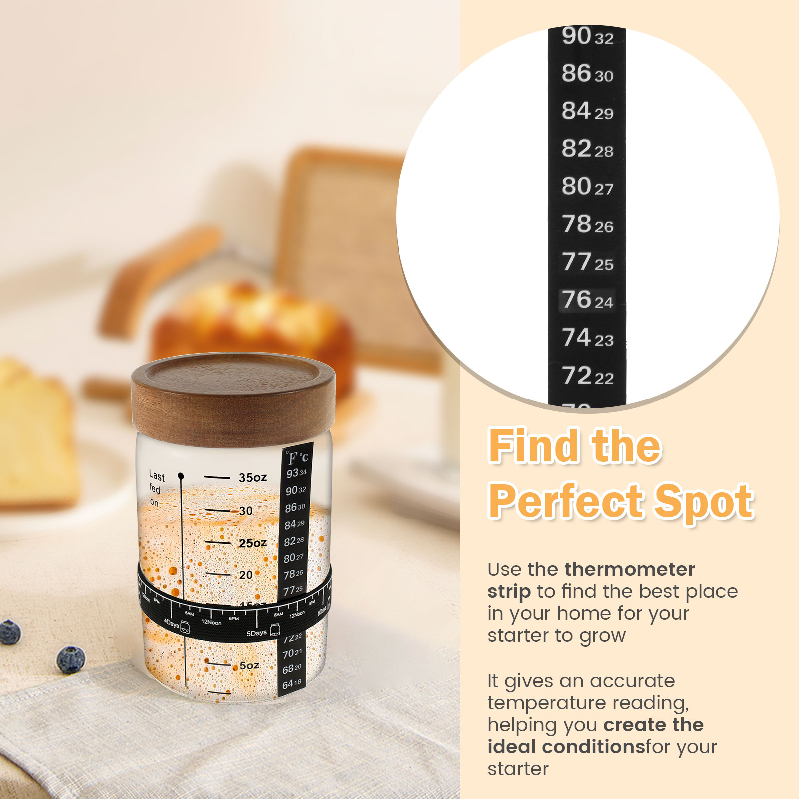 Sourdough Starter Jar Kit 1000 - Food Storage Glass Box recensione e prezzo
