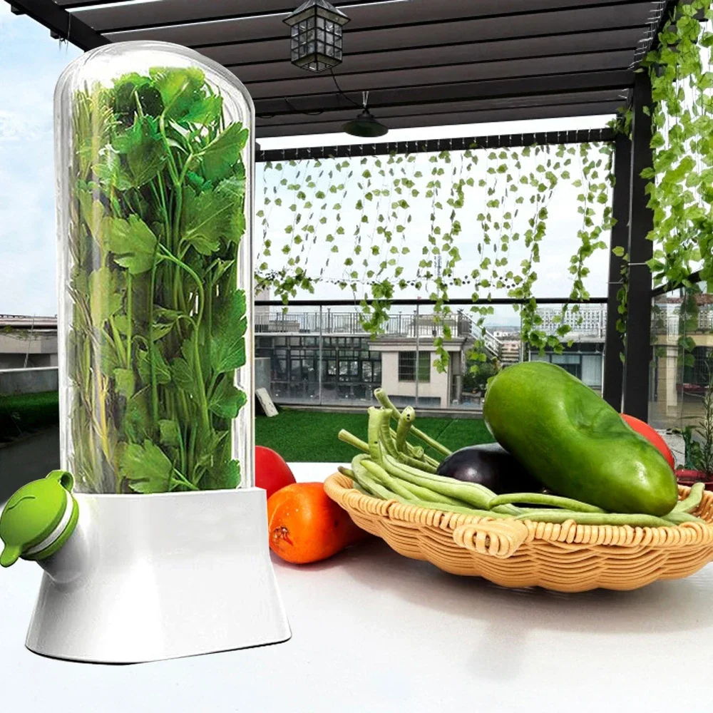 Herb Saver Storage Container V - Herb Keeper Container recensione e prezzo