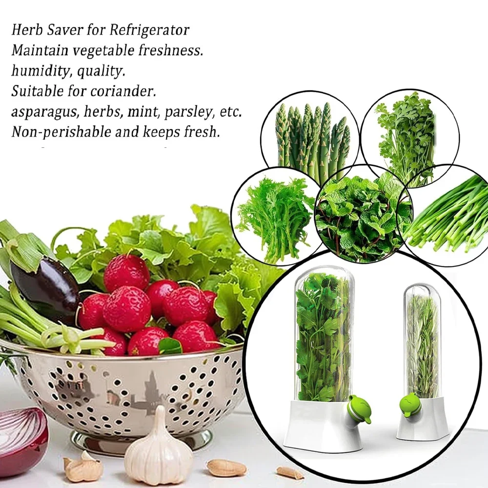 Herb Saver Storage Container V - Herb Keeper Container recensione e prezzo