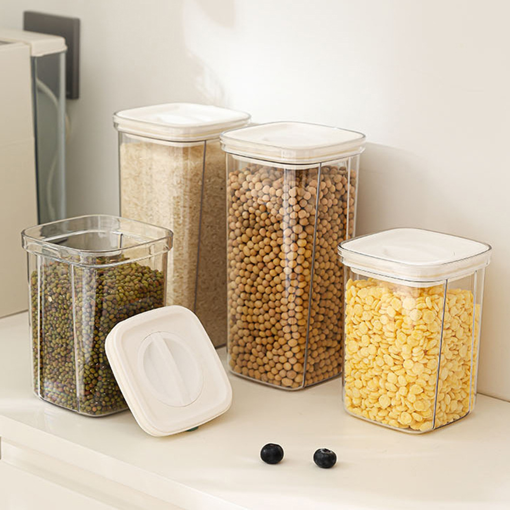 2 In 1 Greek Yogurts Maker Str - Food Storage With Dividers recensione e prezzo