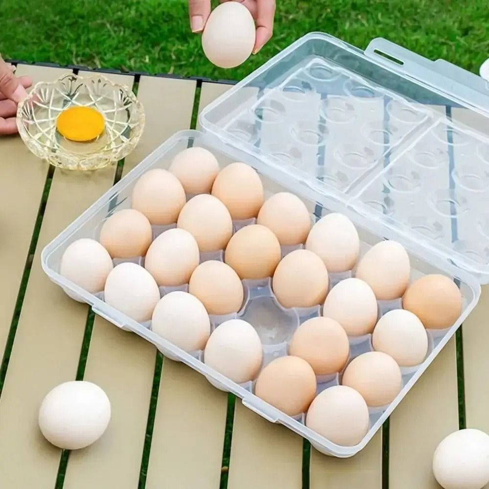 Plastic Egg Storage Box Anti-c - Food Storage With Dividers recensione e prezzo