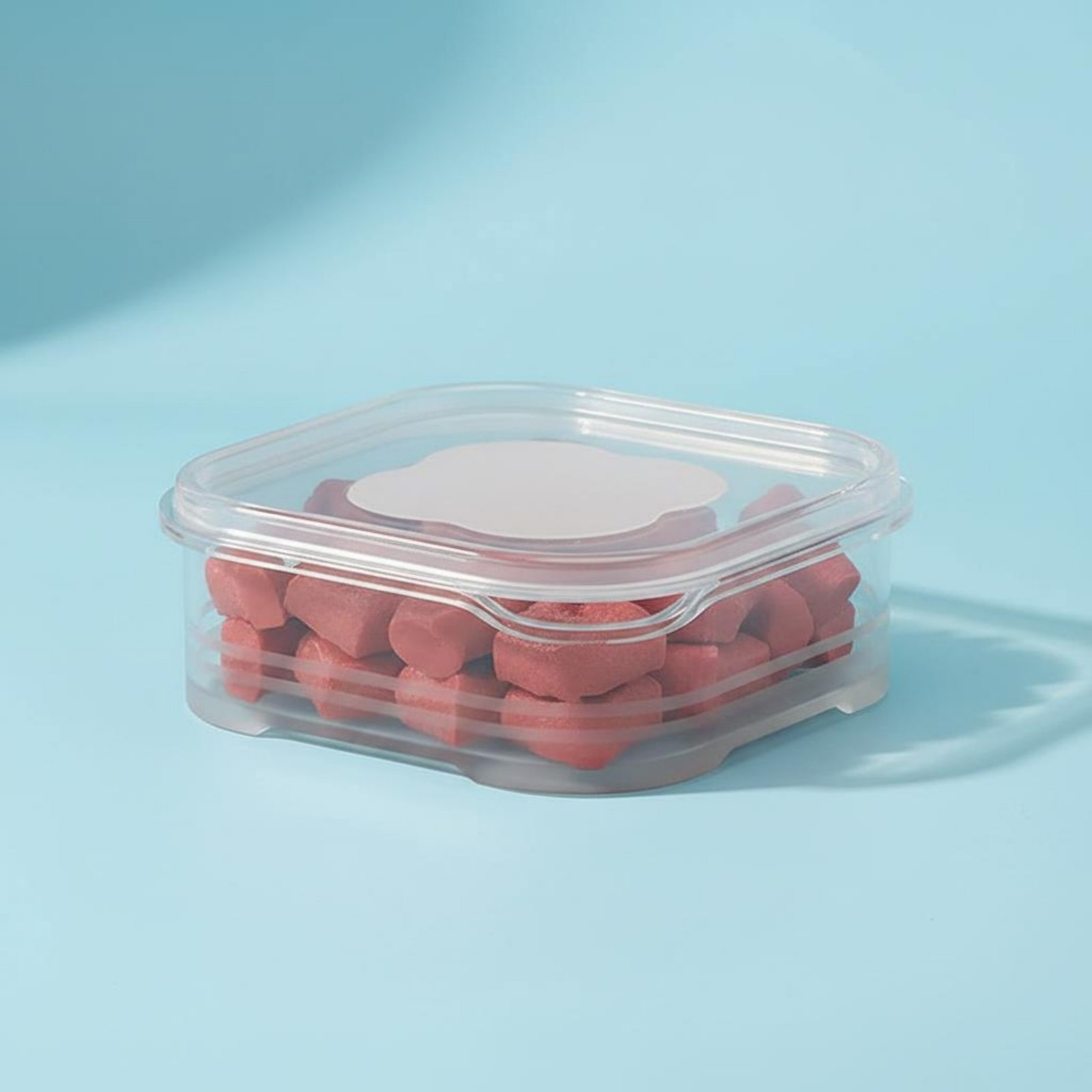 Meat Freezer Box Portion Contr - Portion Control Container recensione e prezzo
