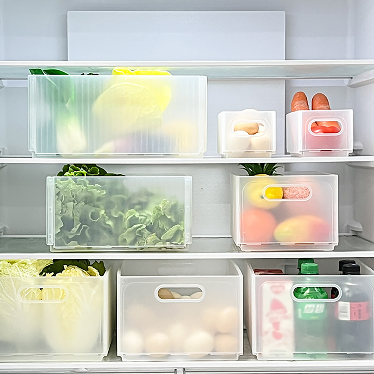 Foldable Plastic Fruit Vegetab - Food Storage With Dividers recensione e prezzo