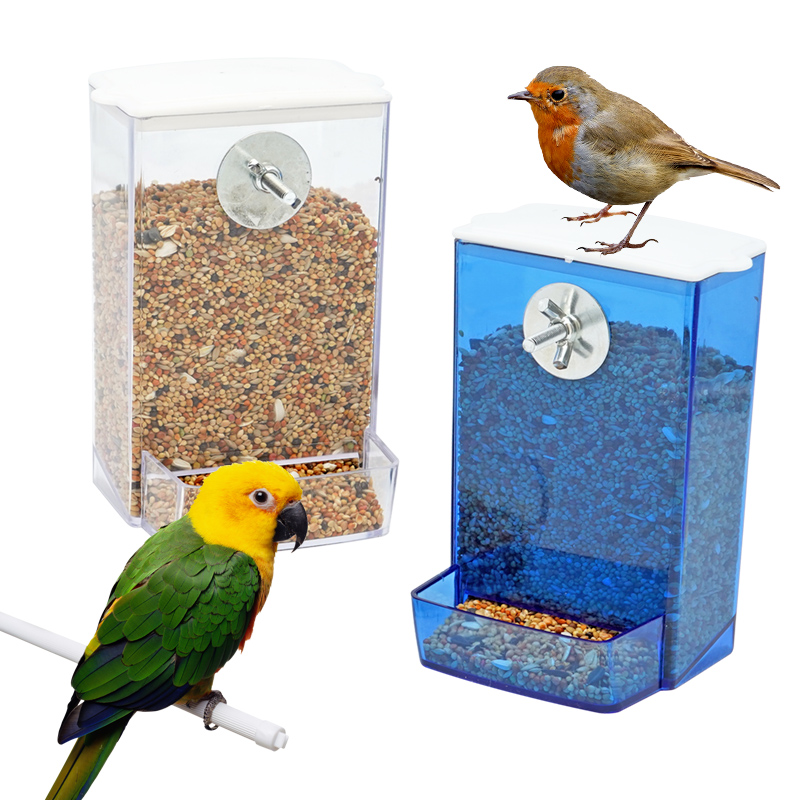 Automatic Bird Feeder Parrot Q - Portion Control Container recensione e prezzo