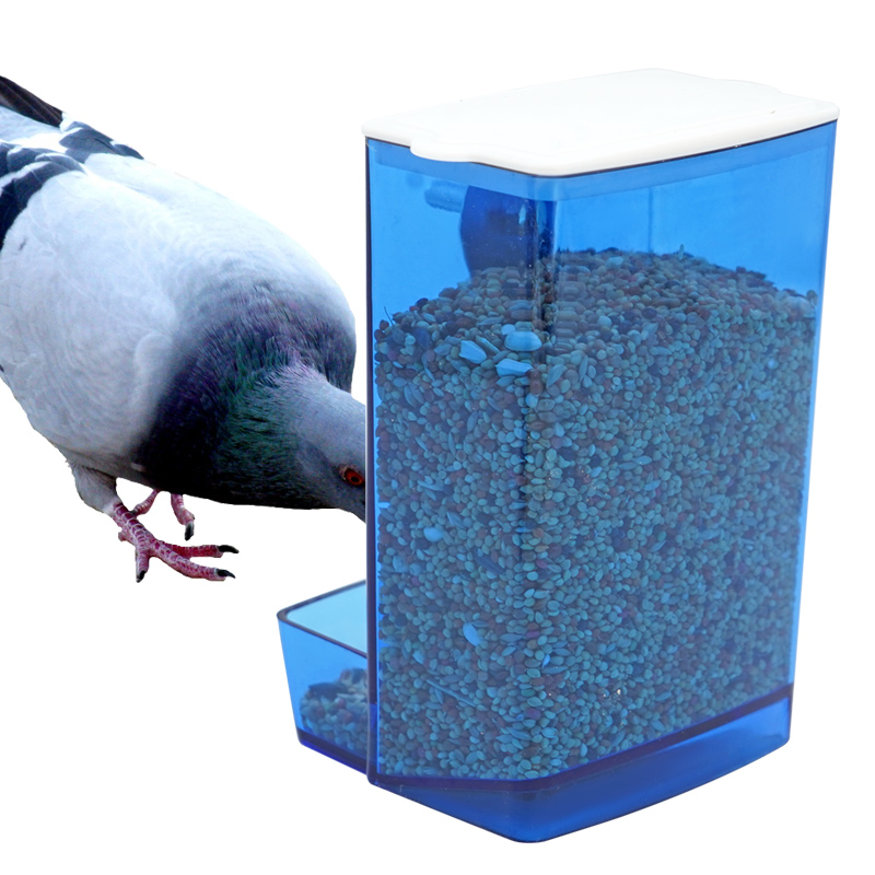 Automatic Bird Feeder Parrot Q - Portion Control Container recensione e prezzo