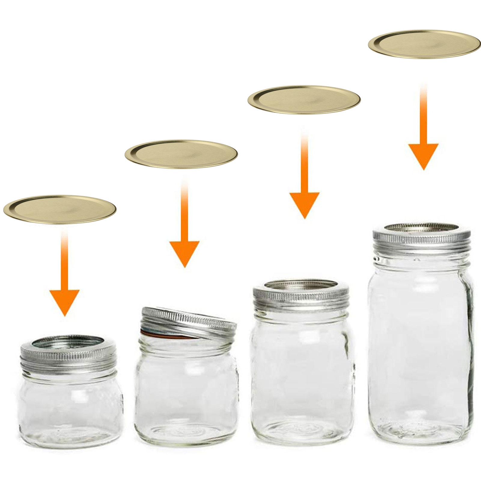 Round Split Type Lids Canning  - Herb Keeper Container recensione e prezzo